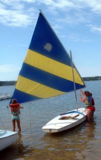 Picture of Sunfish